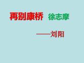 6.2《再别康桥》课件++2023-2024学年统编版高中语文选择性必修下册