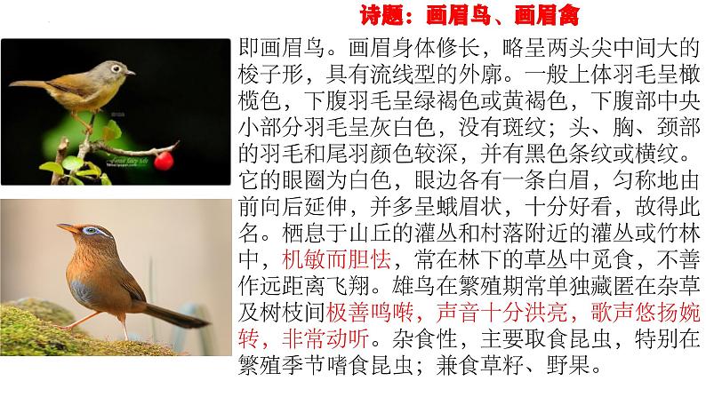 2024届高考专题复习：诗歌鉴赏之形象、语言、手法、思想情感比较鉴赏课件PPT08