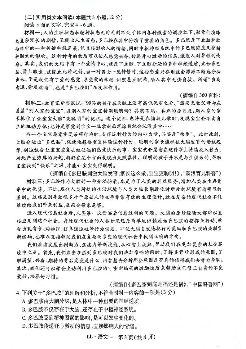 陕西省渭南市三贤中学2023-2024学年高三下学期模拟卷语文试卷第3页