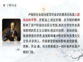 《怜悯是人的天性》课件2023—2024学年统编版高中语文选择性必修中册