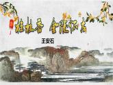 古诗词诵读《桂枝香•金陵怀古》课件+2023-2024学年统编版高中语文必修下册