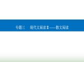 2024届高考语文二轮复习突破二概括内容要点题课件