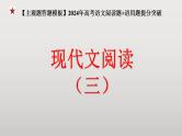 2024年高考语文现代文阅读专题（3）课件PPT