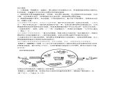 2024年高考语文二轮复习课件+分层训练(全国通用)解密08图文转换(分层训练(原卷版+解析)