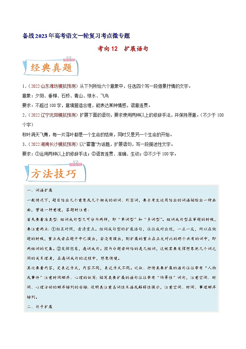 考向12扩展语句-备战2023年高考语文一轮复习考点微专题(新高考地区专用)(原卷版+解析)第1页