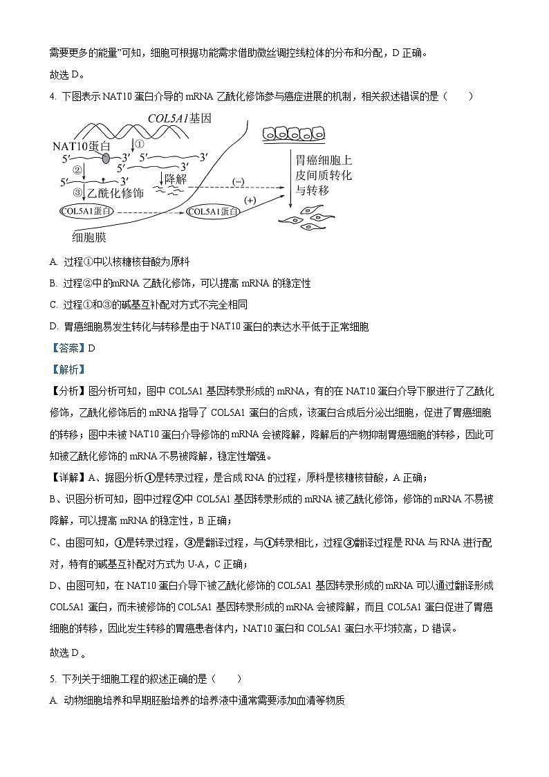 湖南省邵阳市2023-2024学年高三下学期第二次联考生物试题 Word版含解析第3页