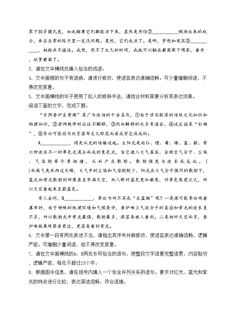 2024届高考语文二轮复习语言文字运用进阶专练（4）(含答案)第2页
