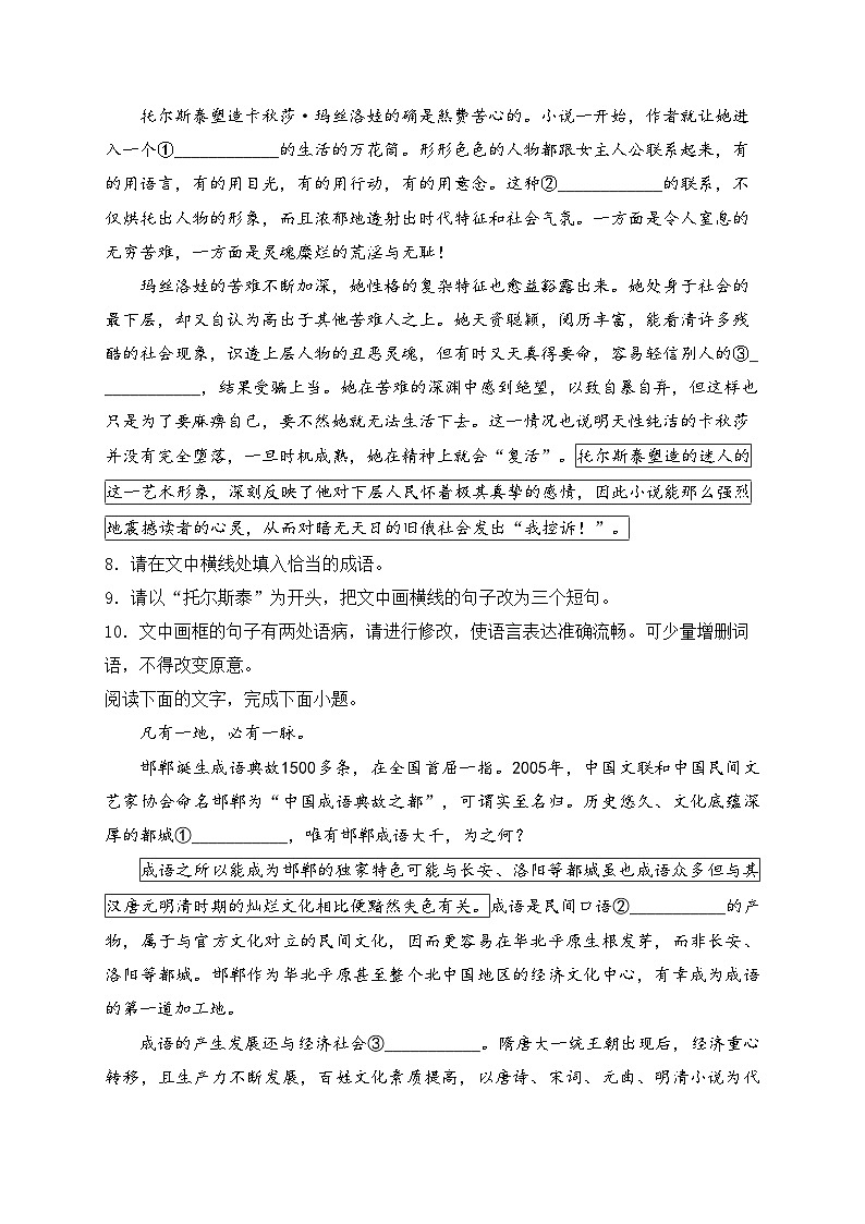 2024届高考语文二轮复习语言文字运用进阶专练（7）(含答案)第3页