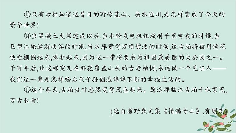 备战2025届新高考语文一轮总复习第2部分现代文阅读Ⅱ复习任务群3散文阅读练案33赏析散文的表达技巧和语言特色课件07