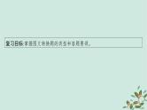 备战2025届新高考语文一轮总复习第4部分语言文字运用复习任务群8语言积累梳理与探究运用任务9图文转换课件