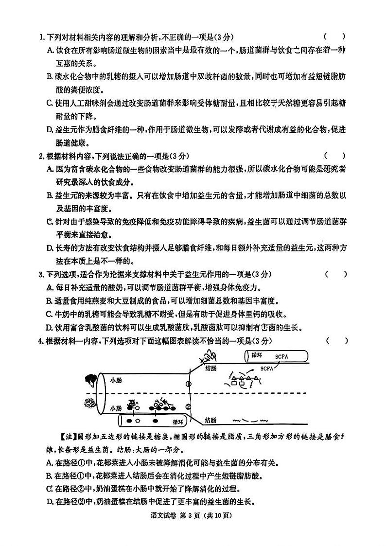 2024湖南省长郡十八校 高三第二次联考-语文+第3页