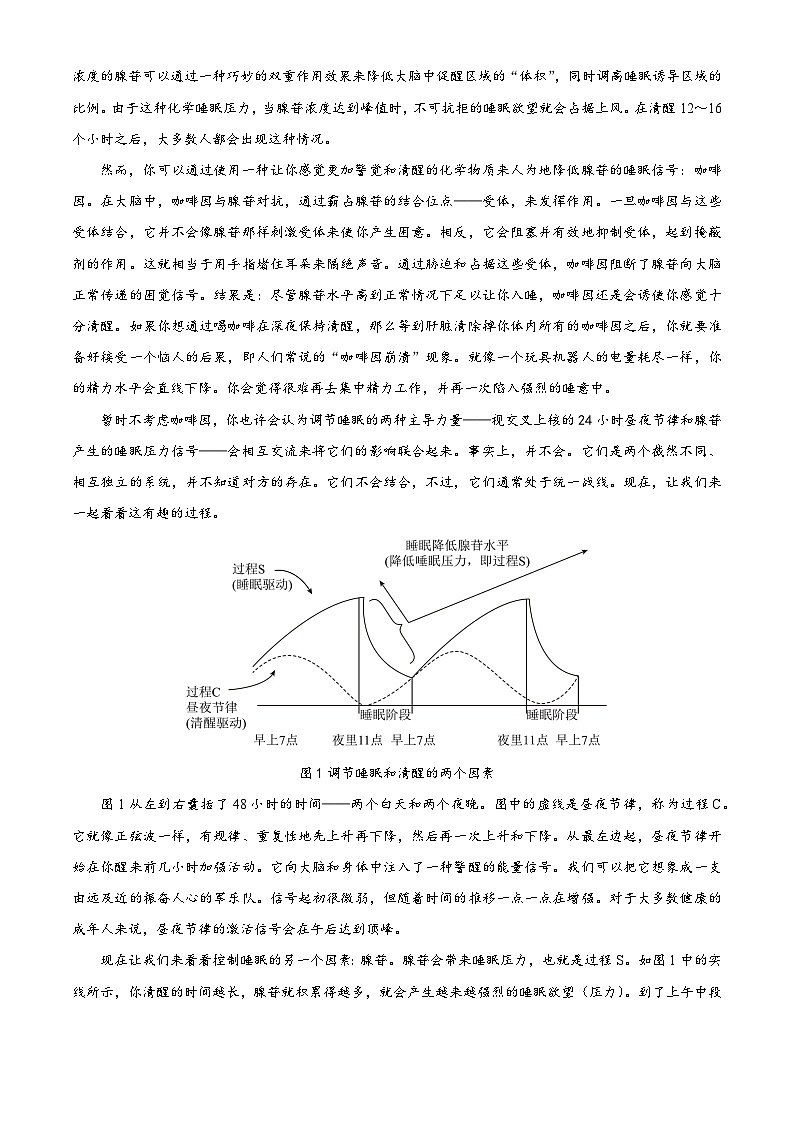 2024长沙师大附中高三第一次模拟考试语文试题含解析02