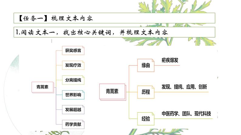 《青蒿素：人类征服疾病的一小步》（教学课件）-  统编版高中语文必修下册第8页