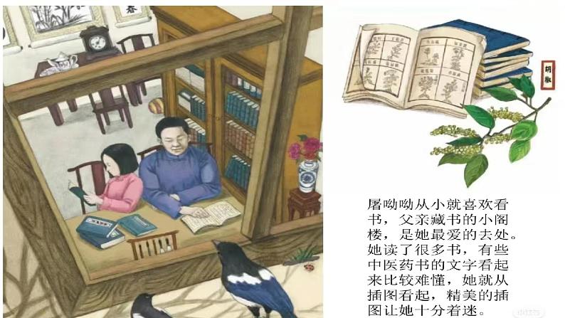 《青蒿素：人类征服疾病的一小步》（教学课件）- 统编版高中语文必修下册第8页