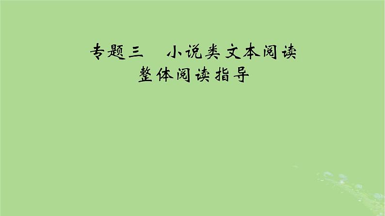 2025版高考语文一轮总复习复习任务群2文学性阅读专题3小说类文本阅读整体阅读指导课件06