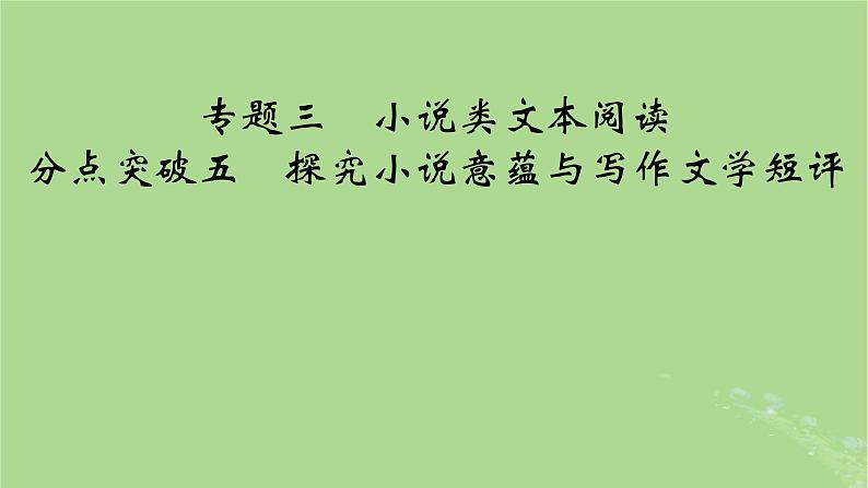 2025版高考语文一轮总复习复习任务群2文学性阅读专题3小说类文本阅读分点突破5探究小说意蕴与写作文学短评课件第1页