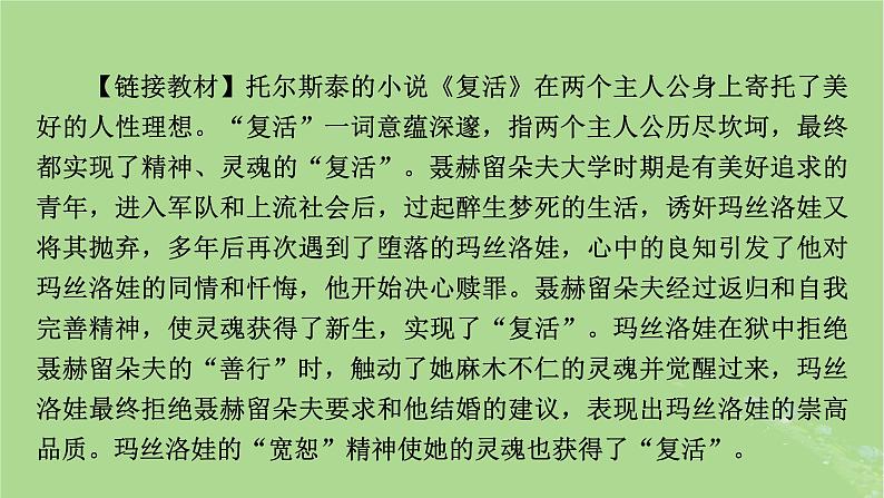 2025版高考语文一轮总复习复习任务群2文学性阅读专题3小说类文本阅读分点突破5探究小说意蕴与写作文学短评课件第3页