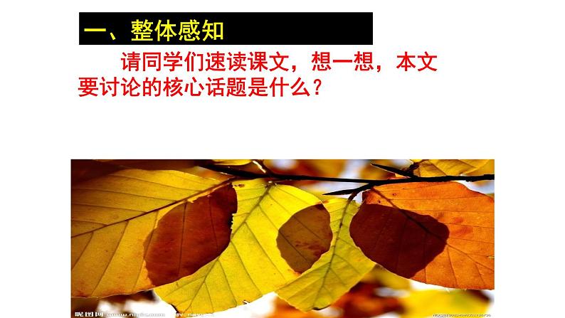 2023-2024学年高一语文统编版必修下册课件《说木叶》课件07