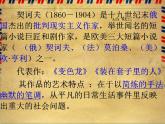 2023-2024学年高一语文统编版必修下册课件《装在套子里的人》 课件