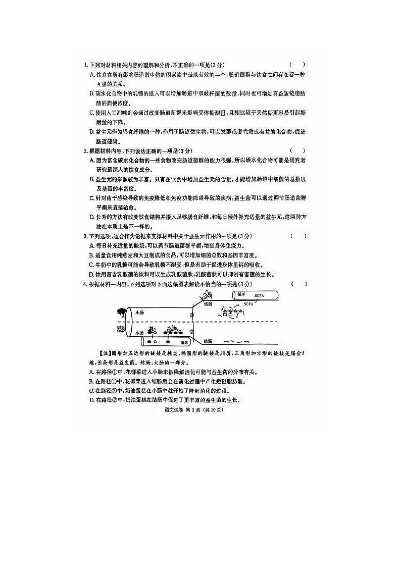 2024届湖南新高考教学教研联盟高三第二次联考语文试题第3页