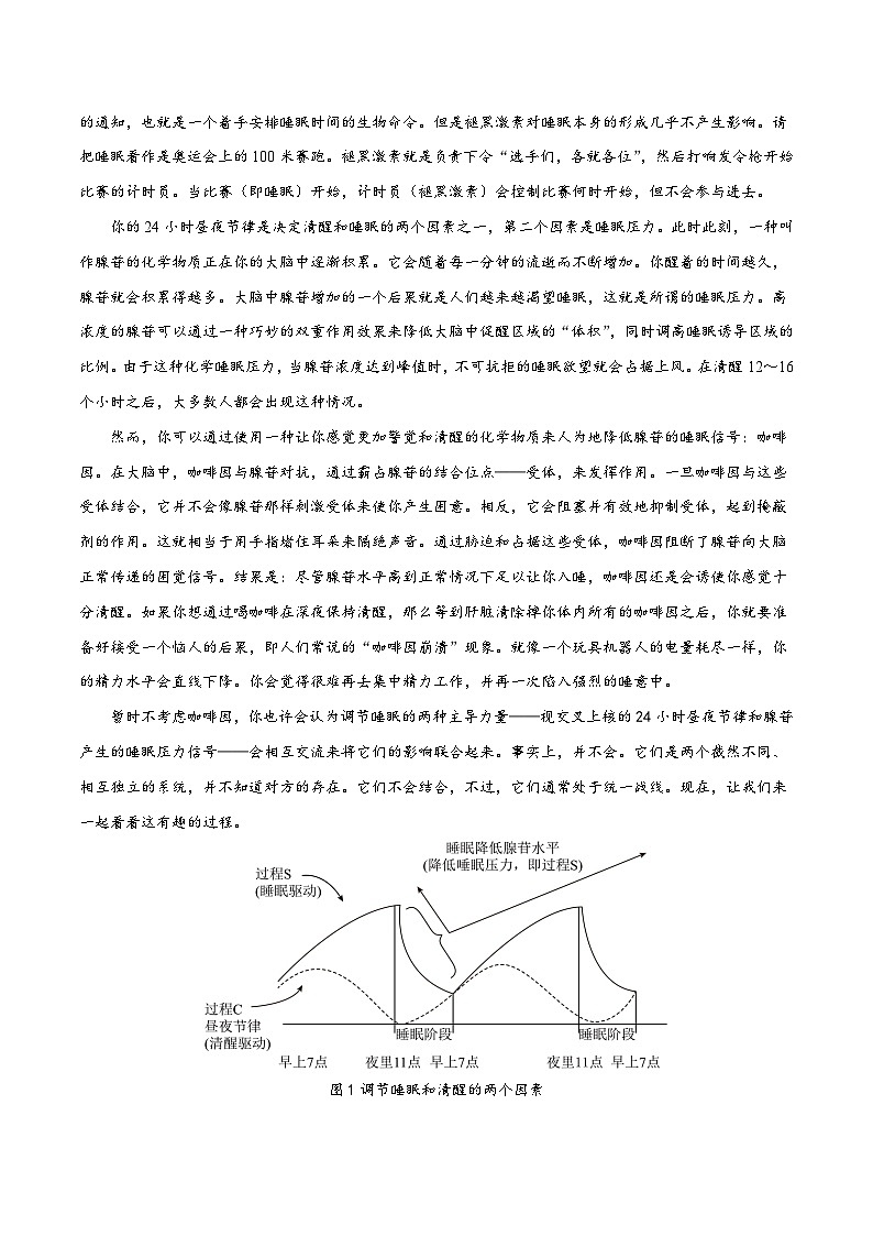 2024年高考押题预测卷—语文（新高考I卷01）（考试版）02