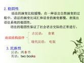 2024届高考语文复习：现代汉语语法专题复习 课件