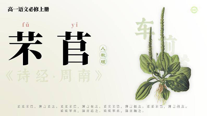必修上2.3.1_《芣苢·诗经》_人教版语文课件_【课件研究所·自营系列】第1页