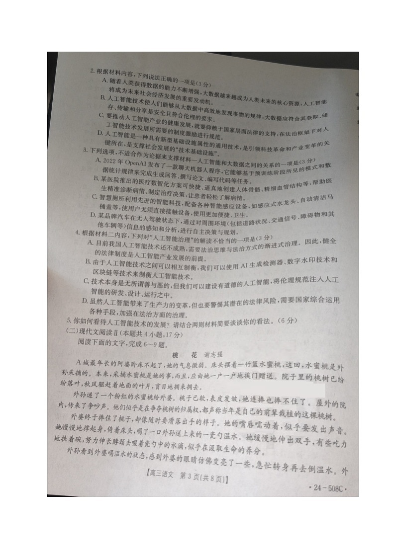 2024届广东省江门市新会华侨中学等校高考二模语文试题03