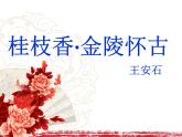 古诗词诵读《桂枝香•金陵怀古》课件+2023-2024学年统编版高中语文必修下册