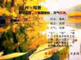 古诗词诵读《桂枝香•金陵怀古》课件+2023-2024学年统编版高中语文必修下册