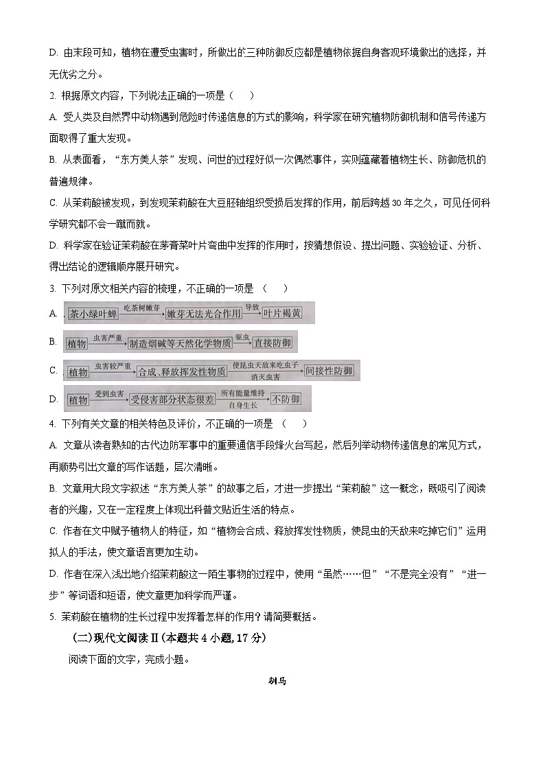 2024届河南省安阳市高三三模语文试卷 （原卷版+解析版）03