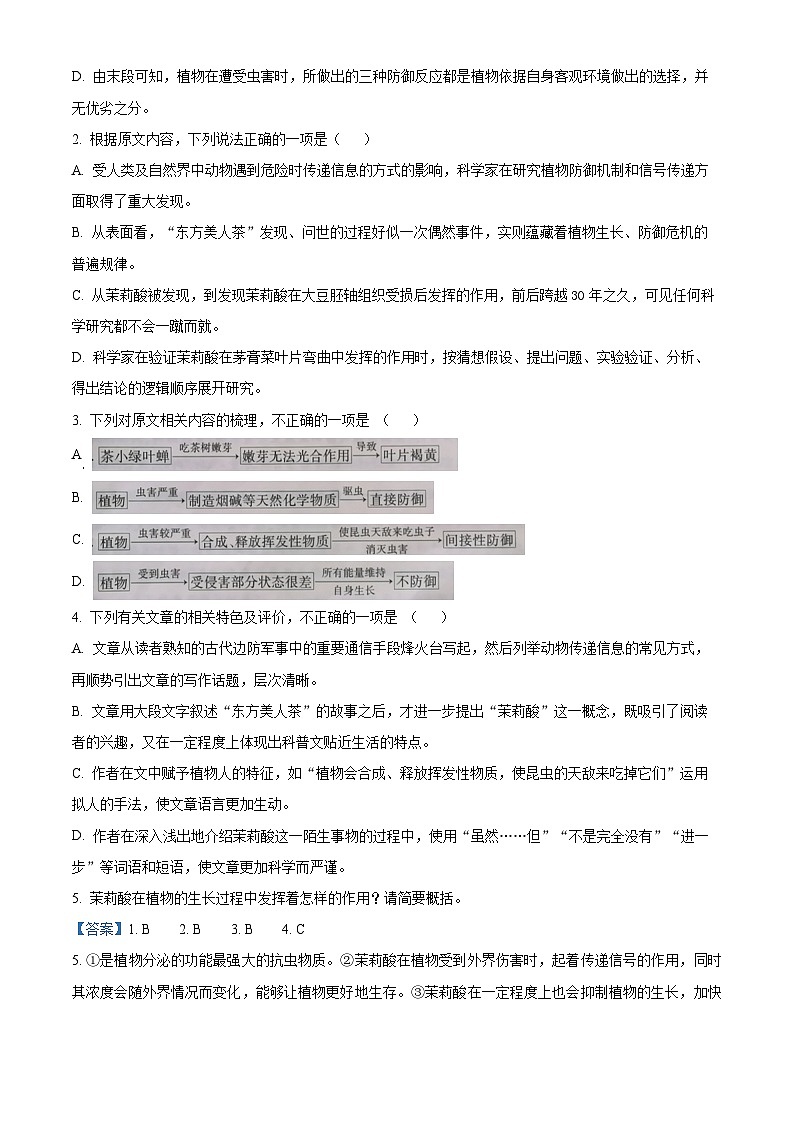 2024届河南省安阳市高三三模语文试卷 （原卷版+解析版）03