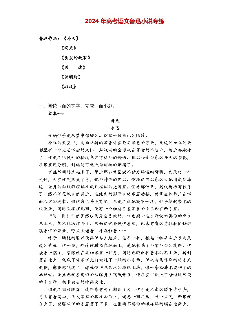 2024年高考语文阅读之鲁迅小说专练（解析版）第1页