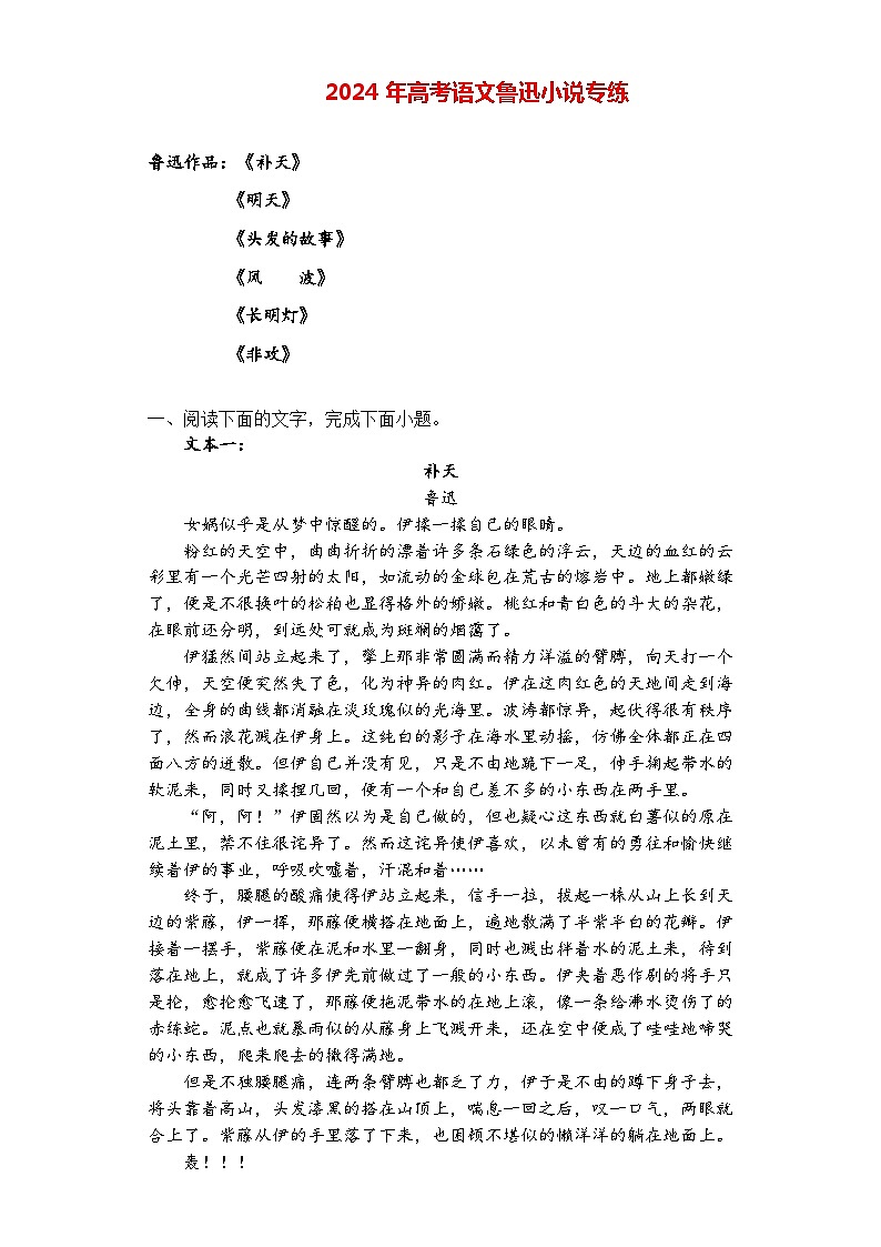 2024年高考语文阅读之鲁迅小说专练（原卷版）第1页