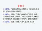 2024年高考语文复习专题：古代诗歌鉴赏综合训练 课件