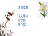 《百合花》课件3