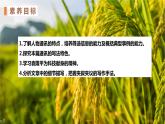 《喜看稻菽千重浪》课件4