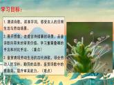 《芣苢》课件6
