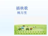 插秧歌课件3