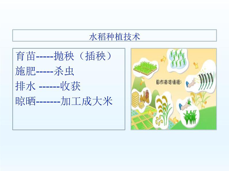 插秧歌课件3第3页