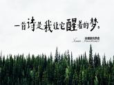 人教版高中語文選擇性必修中冊4.2.4《樹和天空》課件（教案）
