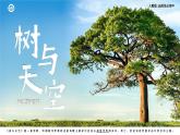人教版高中語文選擇性必修中冊4.2.4《樹和天空》課件（教案）