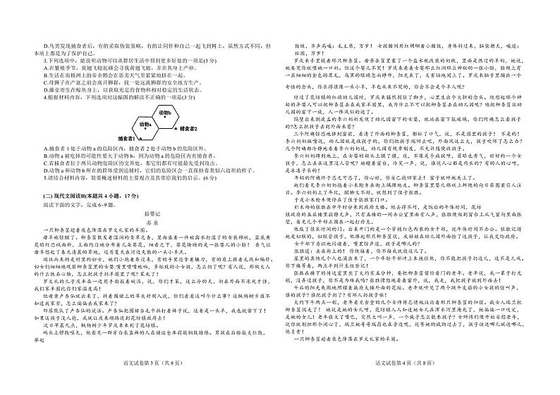 2024届河南省信阳市新县高级中学高三考前第四次适应性考试语文试卷第2页