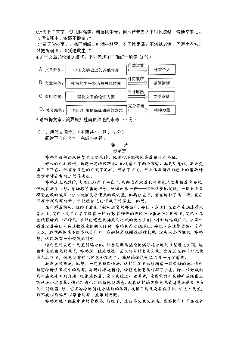 安徽省合肥一六八中学2024届高三下学期最后一卷语文试卷（Word版附解析）第3页