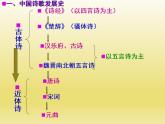 《静女》课件5