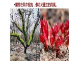 《齐桓晋文之事》课件4