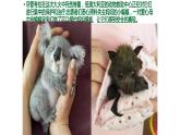 《齐桓晋文之事》课件4