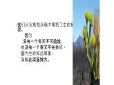 《齐桓晋文之事》课件4