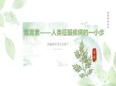 《青蒿素：人类征服疾病的一小步》课件7