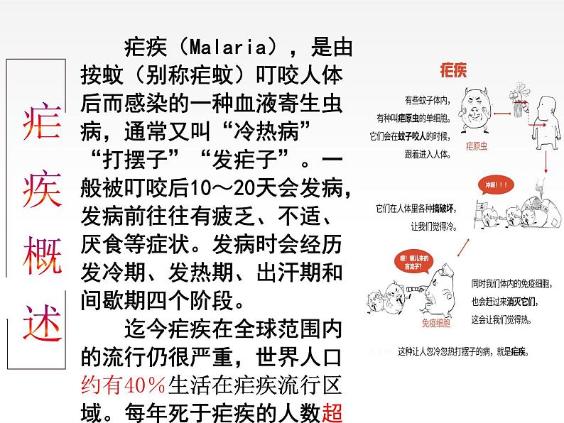 《青蒿素：人类征服疾病的一小步》课件906